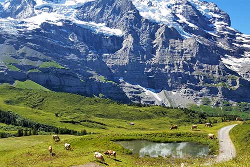 Estudiar Francés en Suiza